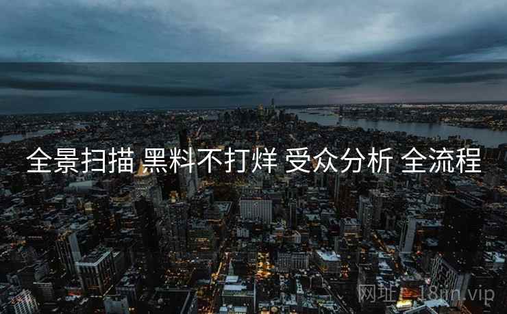 全景扫描 黑料不打烊 受众分析 全流程