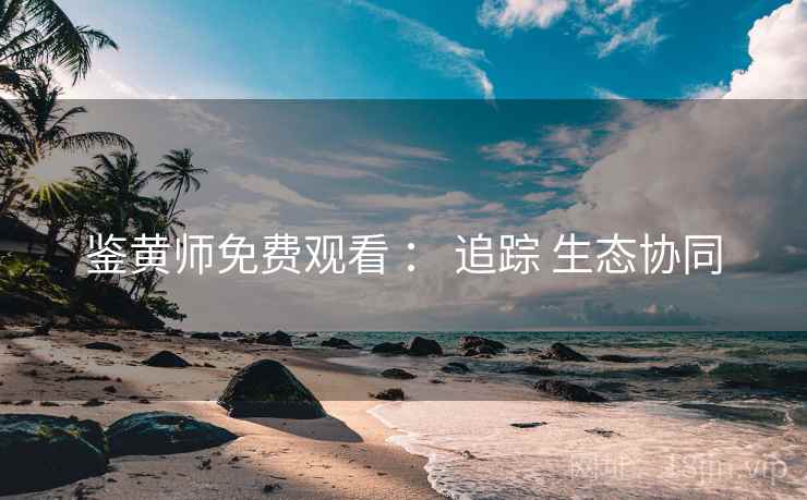 鉴黄师免费观看 ： 追踪 生态协同