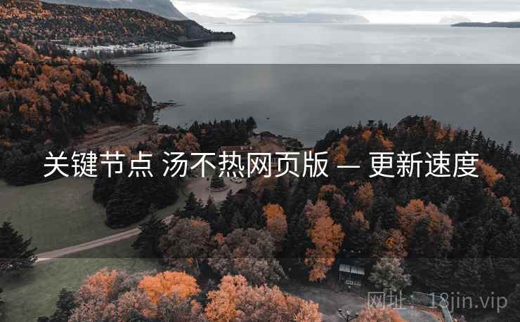 关键节点 汤不热网页版 — 更新速度