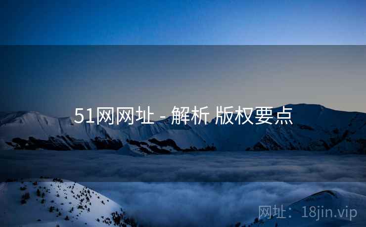 51网网址 - 解析 版权要点