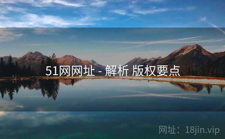 51网网址 - 解析 版权要点