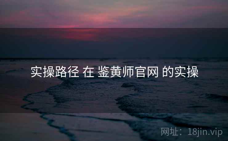 实操路径 在 鉴黄师官网 的实操
