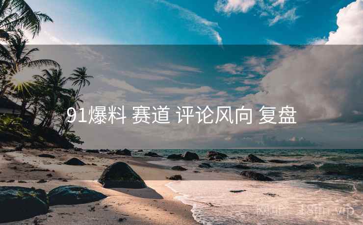 91爆料 赛道 评论风向 复盘