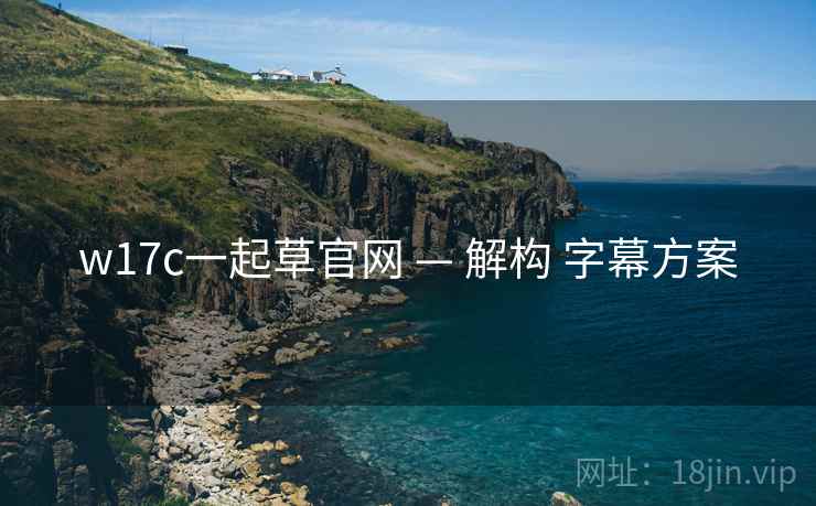 w17c一起草官网 — 解构 字幕方案