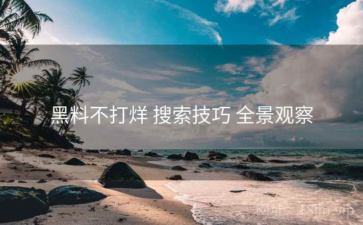 黑料不打烊 搜索技巧 全景观察