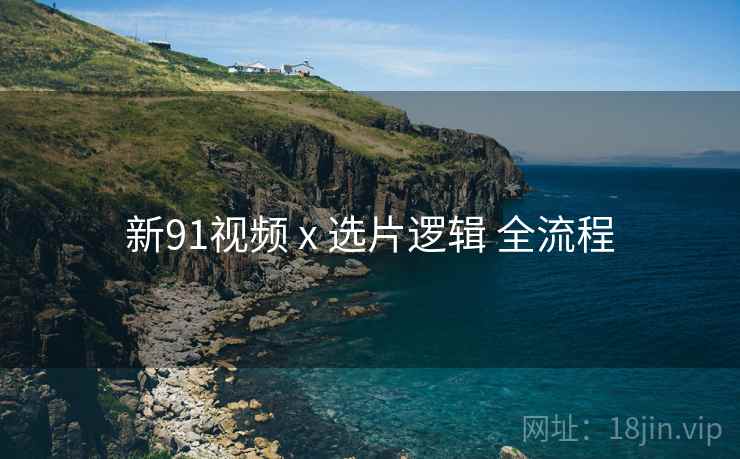 新91视频 x 选片逻辑 全流程