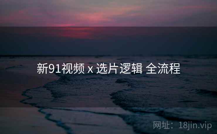 新91视频 x 选片逻辑 全流程