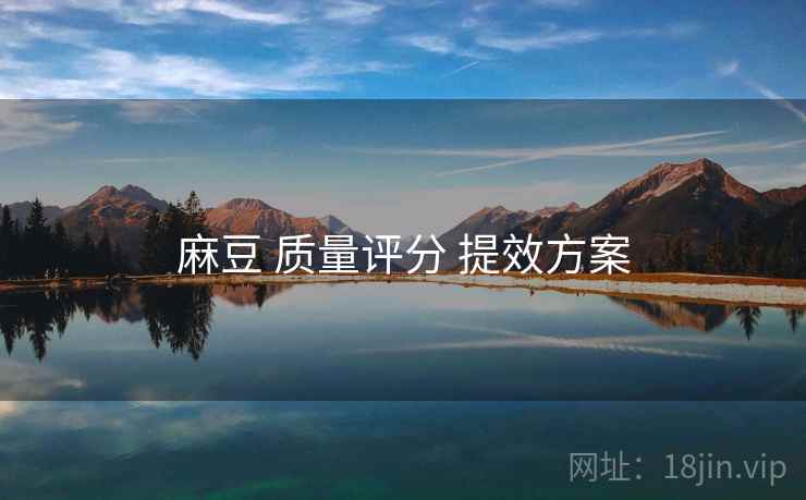 麻豆 质量评分 提效方案