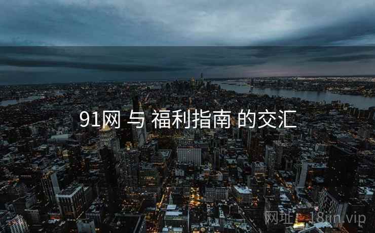 91网 与 福利指南 的交汇