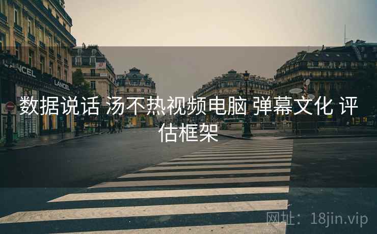 数据说话 汤不热视频电脑 弹幕文化 评估框架