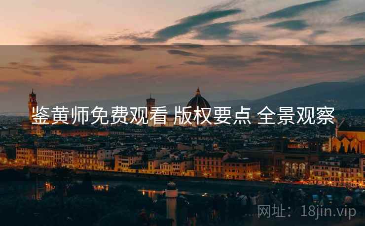 鉴黄师免费观看 版权要点 全景观察