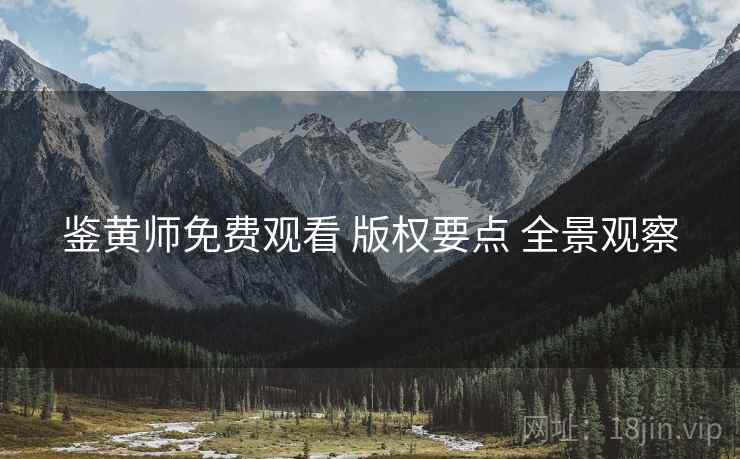 鉴黄师免费观看 版权要点 全景观察