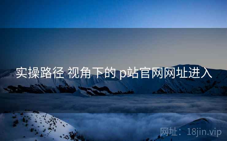 实操路径 视角下的 p站官网网址进入