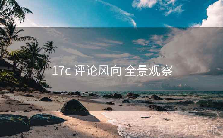 17c 评论风向 全景观察