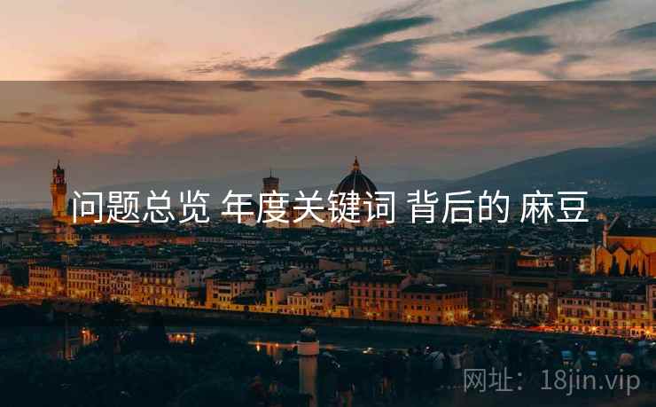 问题总览 年度关键词 背后的 麻豆