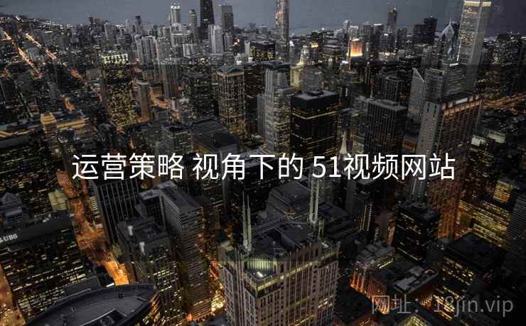 运营策略 视角下的 51视频网站