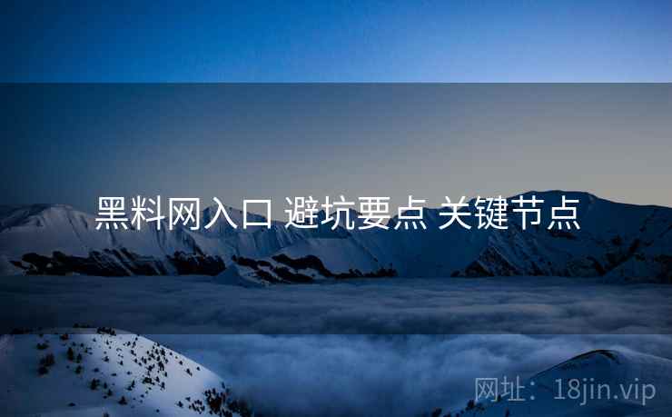 黑料网入口 避坑要点 关键节点