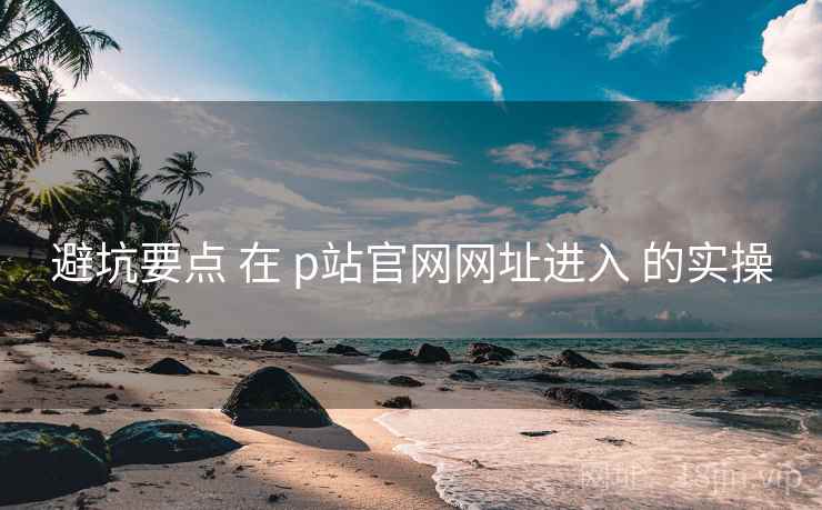 避坑要点 在 p站官网网址进入 的实操