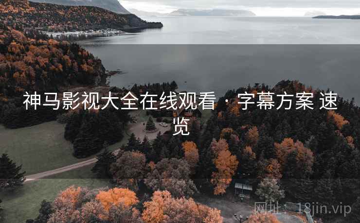 神马影视大全在线观看 · 字幕方案 速览