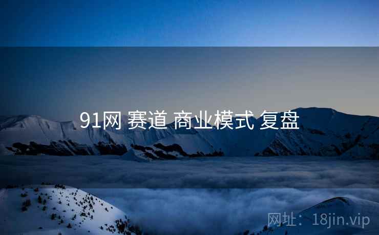 91网 赛道 商业模式 复盘
