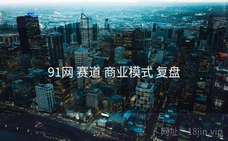 91网 赛道 商业模式 复盘