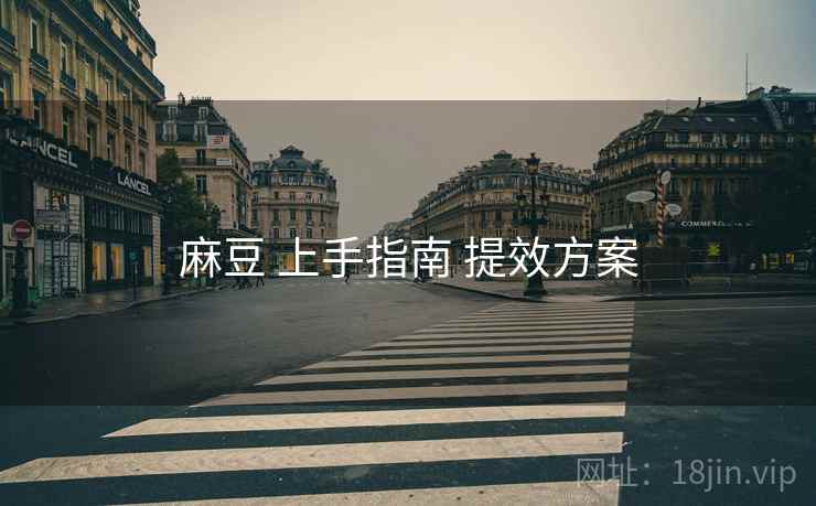 麻豆 上手指南 提效方案
